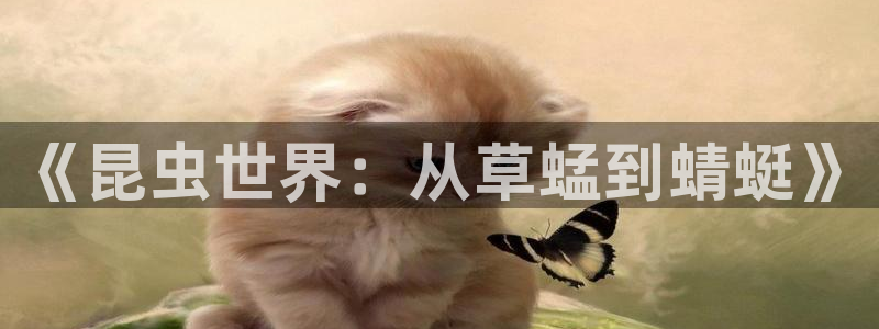 拷贝漫画 copymanager.ory网站：《昆虫世界：从草蜢到蜻蜓》