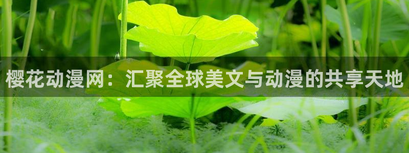 动漫之家网官网入口：樱花动漫网：汇聚全球美文与动漫的共享天地