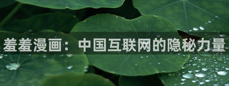 动漫之家：羞羞漫画：中国互联网的隐秘力量