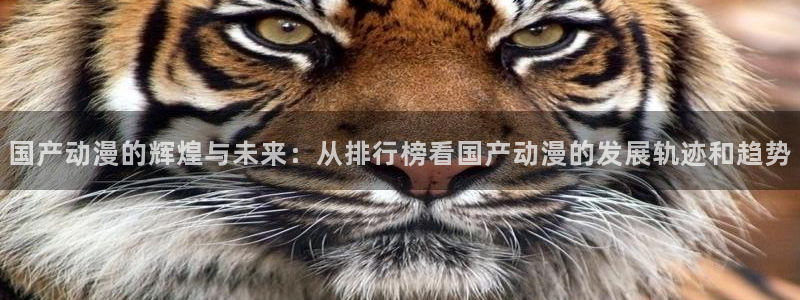 age专注动漫的门户网站：国产动漫的辉煌与未来：从排行榜看国产动漫的发展轨迹和趋势