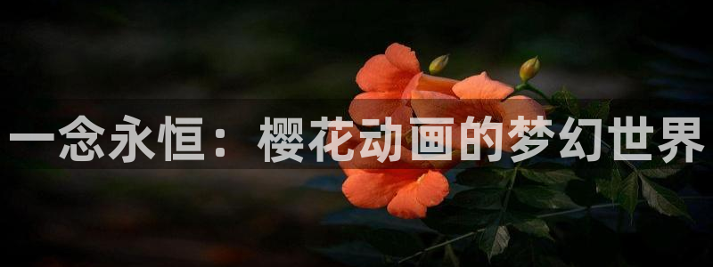 动漫之家网上看