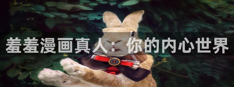 拷贝漫画 copymanager.ory网站