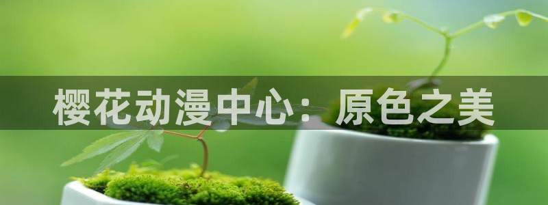 拷贝漫画 copymanager.ory网站