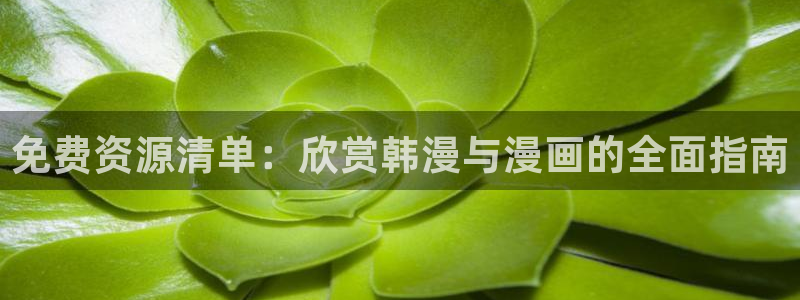 动漫之家下载动漫全免费