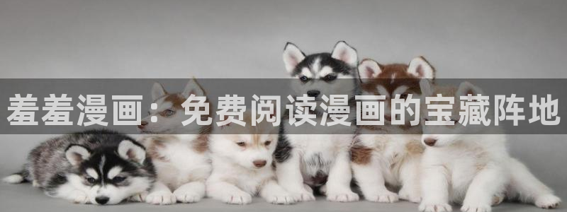 动漫之家下载动漫全免费