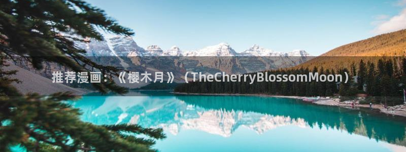 动漫之家官网版入口