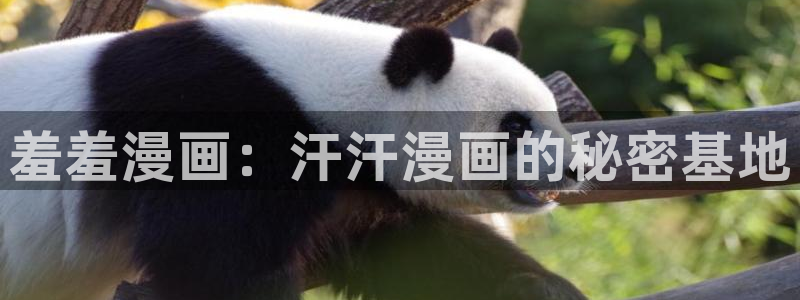 动漫之家官网网址