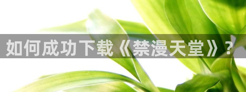 age樱花动漫：如何成功下载《禁漫天堂》？