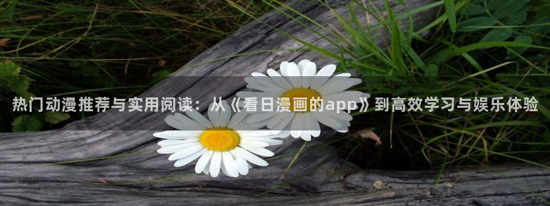 动漫之家官网网址：热门动漫推荐与实用阅读：从《看日漫画的app》到高效学习与娱乐体验