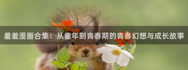 动漫之家官网入口老版本