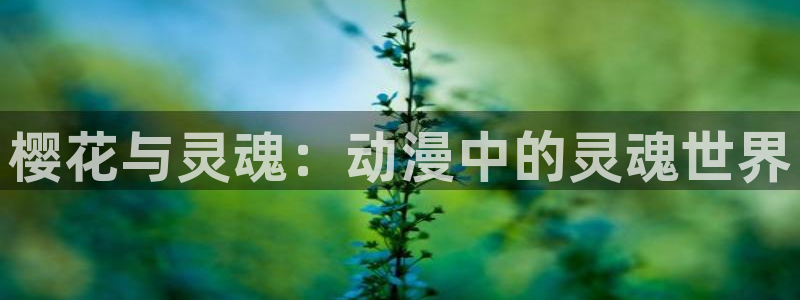 动漫之家官网网址