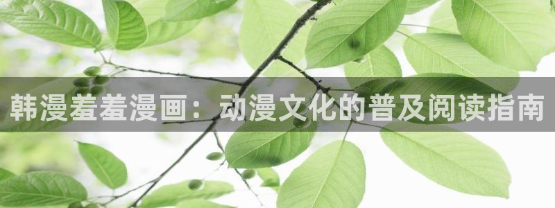动漫之家下载网