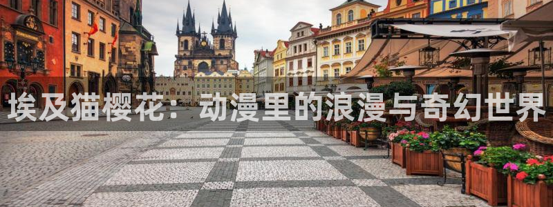 动漫之家下载动漫全免费：埃及猫樱花：动漫里的浪漫与奇幻世界