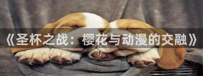 动漫之家专注动漫的门户网站：《圣杯之战：樱花与动漫的交融》